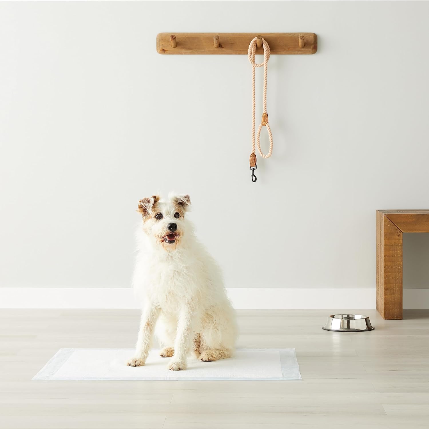 Detalle de Amazon Basics Tappetini per addestramento cani e cuccioli XL – confezione da 40, 5 strati, superficie ad asciugatura rapida, celeste