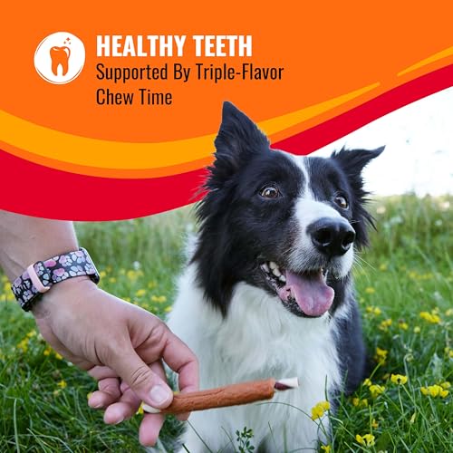 Detalle 2 de Good 'n' Fun Roll Long-Lasting Dog Treat for Large Dogs, 6 Count
