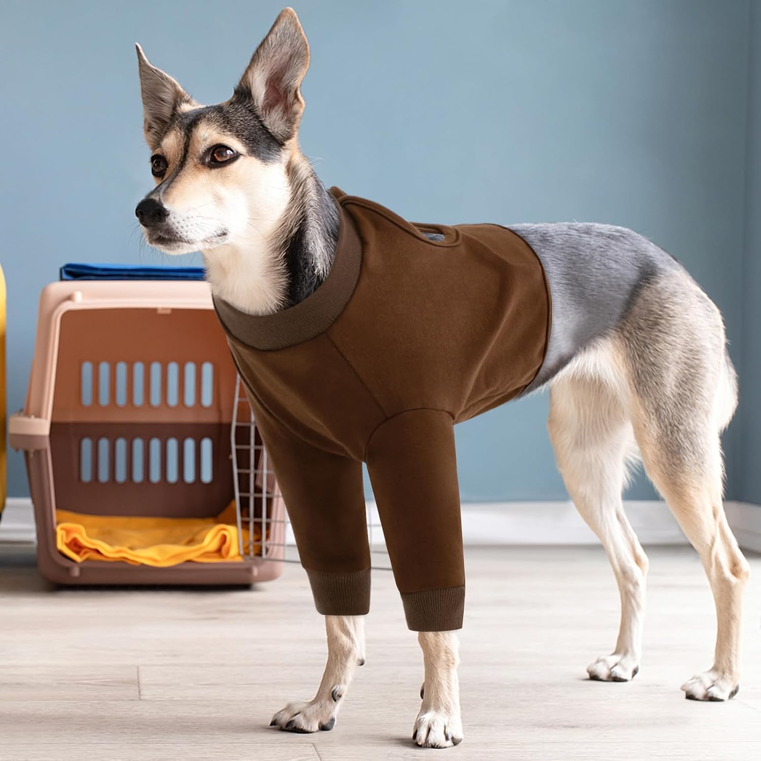 Detalle 2 de CITÉTOILE Hundebody Nach Op, M Wundschutz