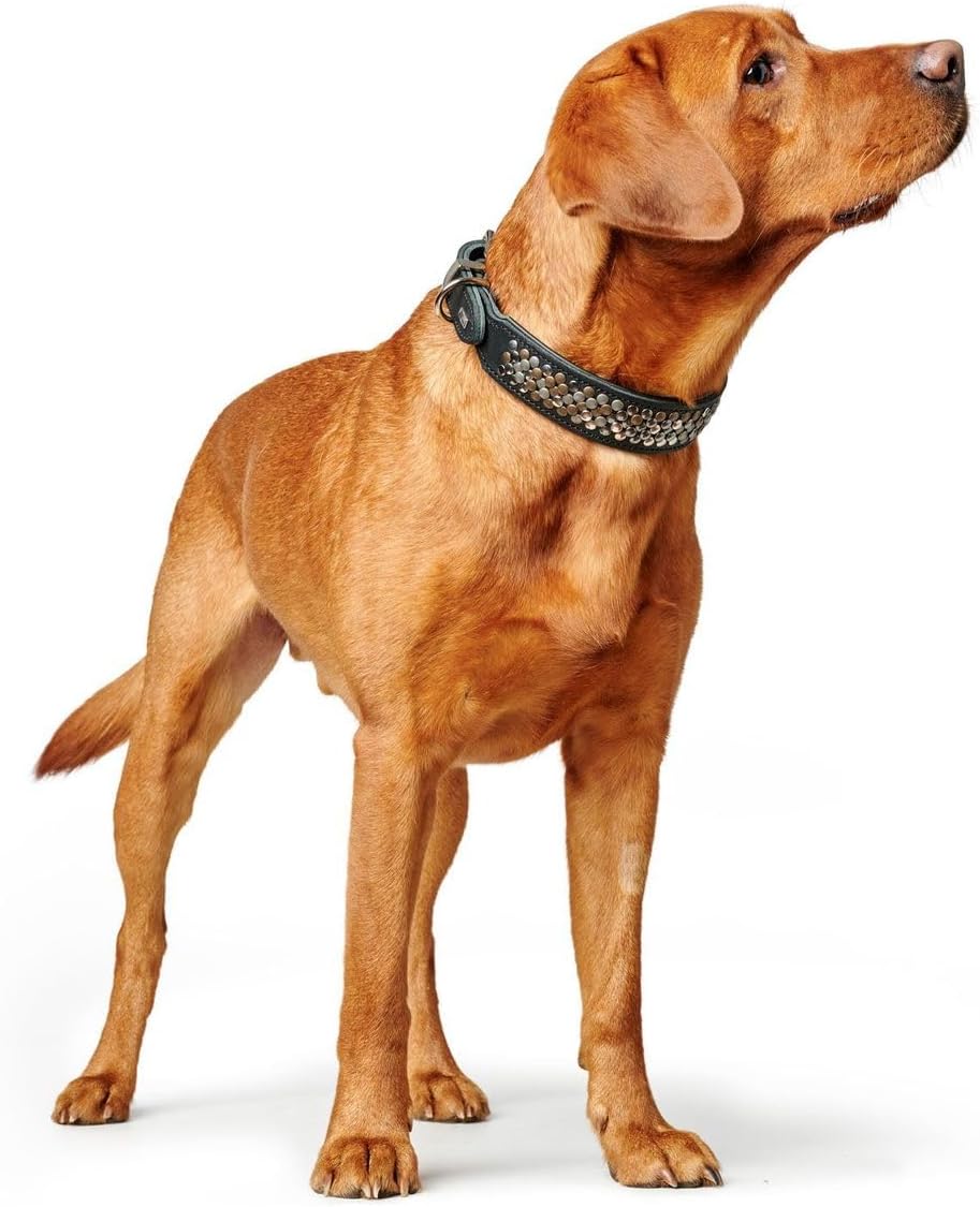 Thumbnail 4 de Hunter Hundehalsband Arizona UP 50 schwarz