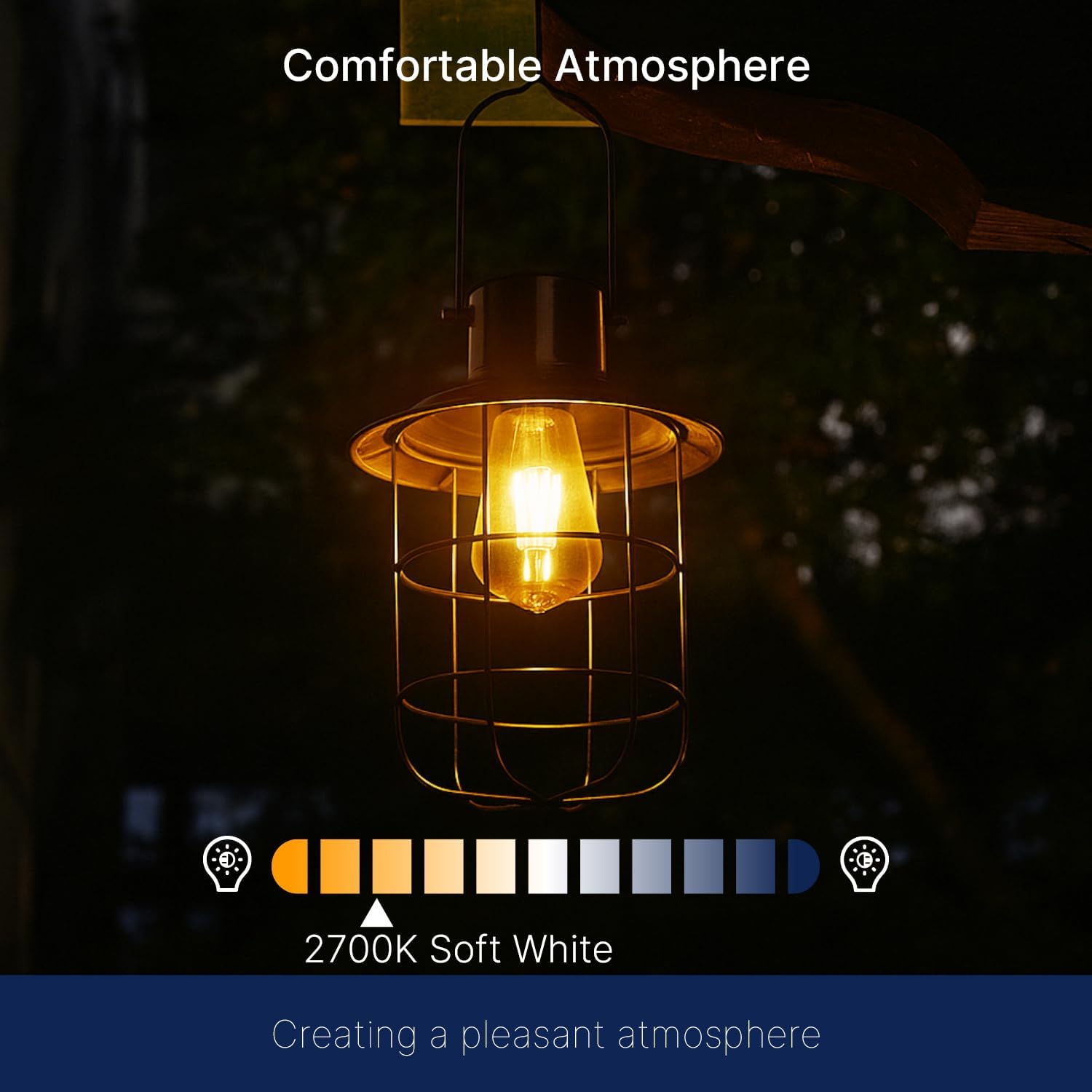 Detalle 2 de FLSNT outdoor sensor LED bulb, ST19