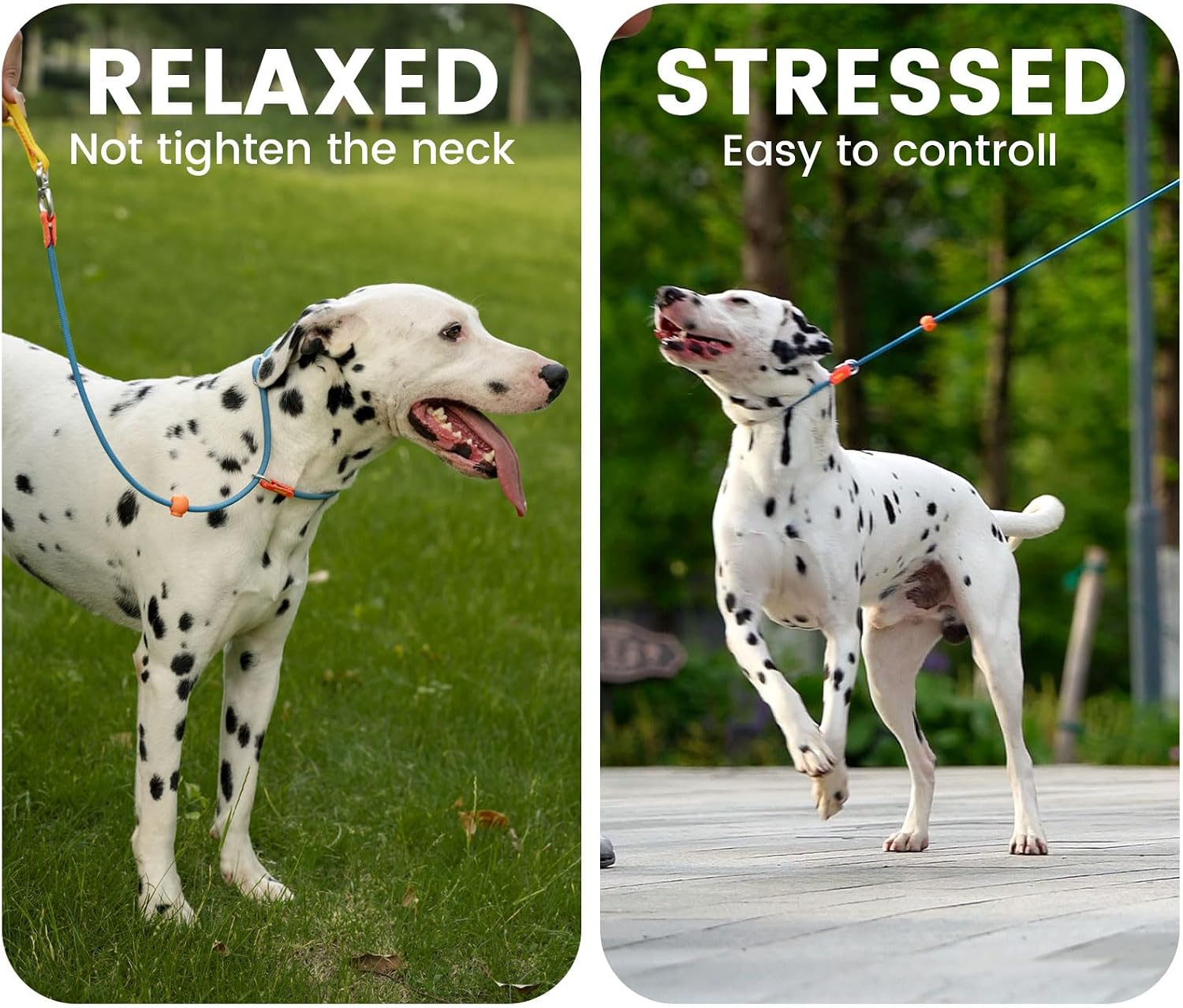 Detalle de Howgo Dog Slip Lead Leash (MintGreen) 5.5ft – Training, No-Pull Slip Lead and Collar