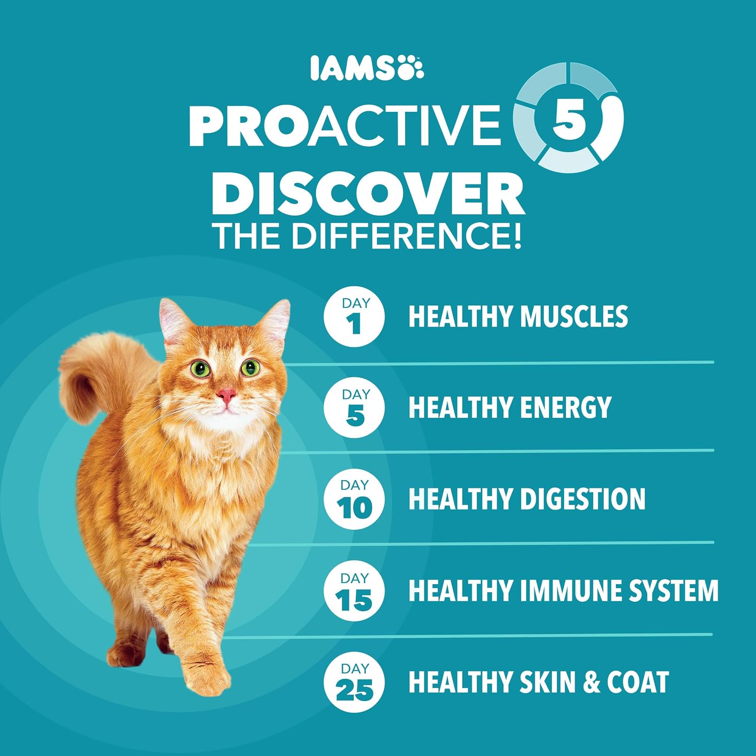 Detalle de IAMS Proactive Health Indoor Dry Cat Food, Chicken & Turkey, 7 lb