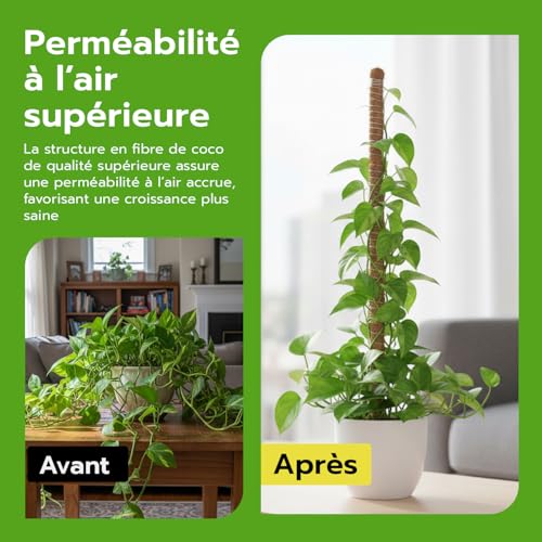 Detalle de Wigearss 2 Pièces Tuteur Plante Grimpante en Coco sur Piquet 60 cm – Support flexible pour Monstera et Vignes d’intérieur