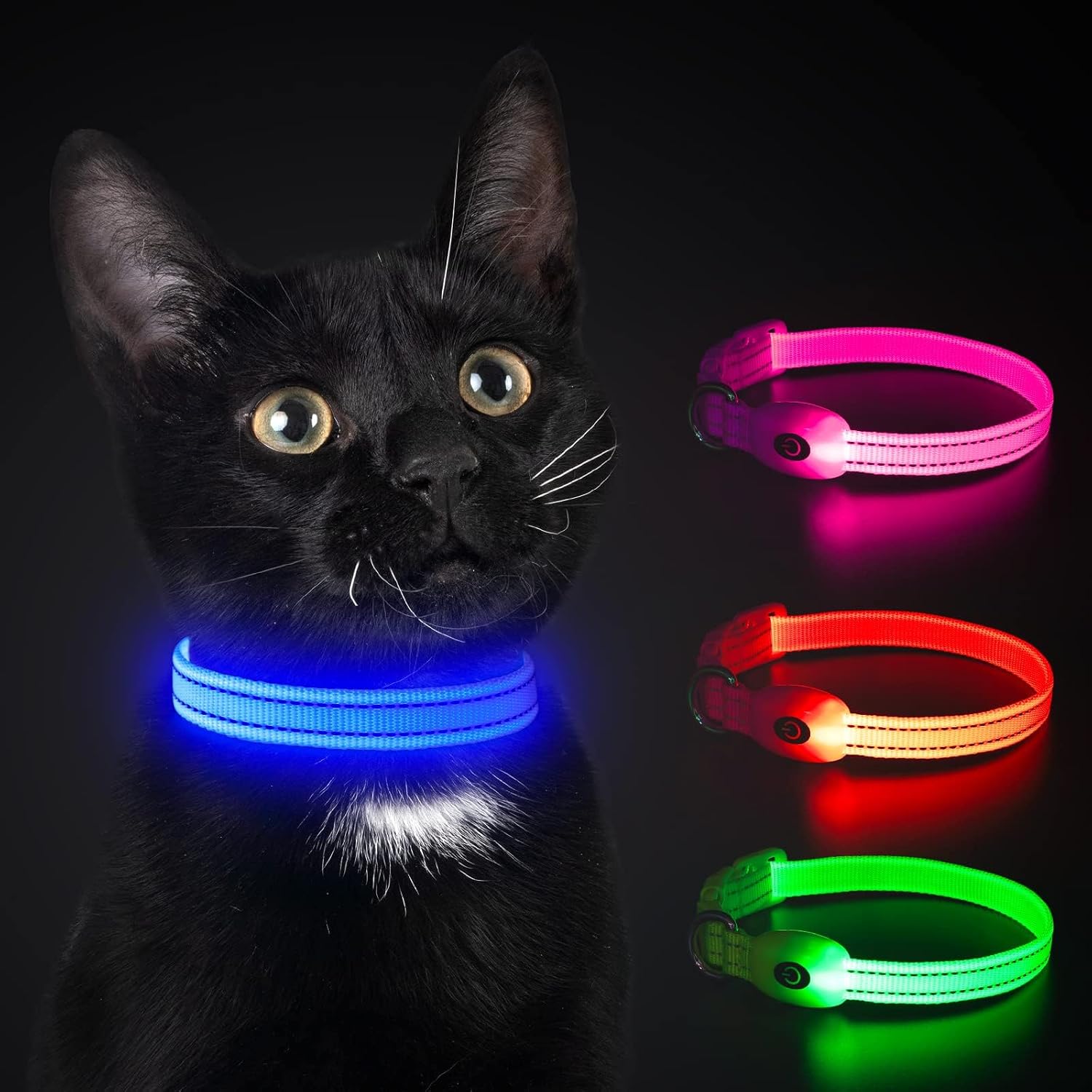 Detalle de YFbrite LED-Hundehalsband XS