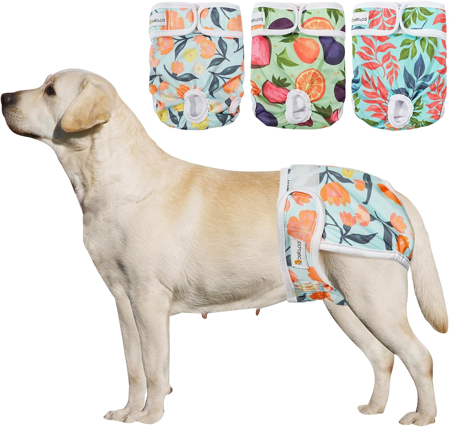 Detalle de BELLA & PAL Dog Nappies Female: Reusable XL Period Pants for Large Dogs (3-Pack)