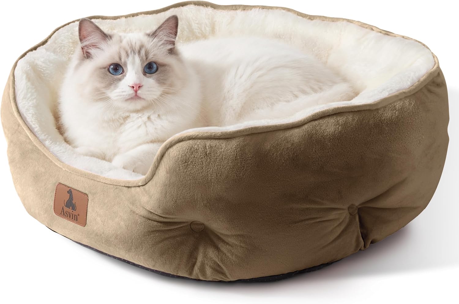 Thumbnail 1 de Asvin Small Dog Bed, 20-Inch