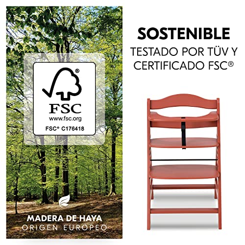 Thumbnail 2 de hauck Alpha Plus Trona evolutiva madera de haya 90 kg