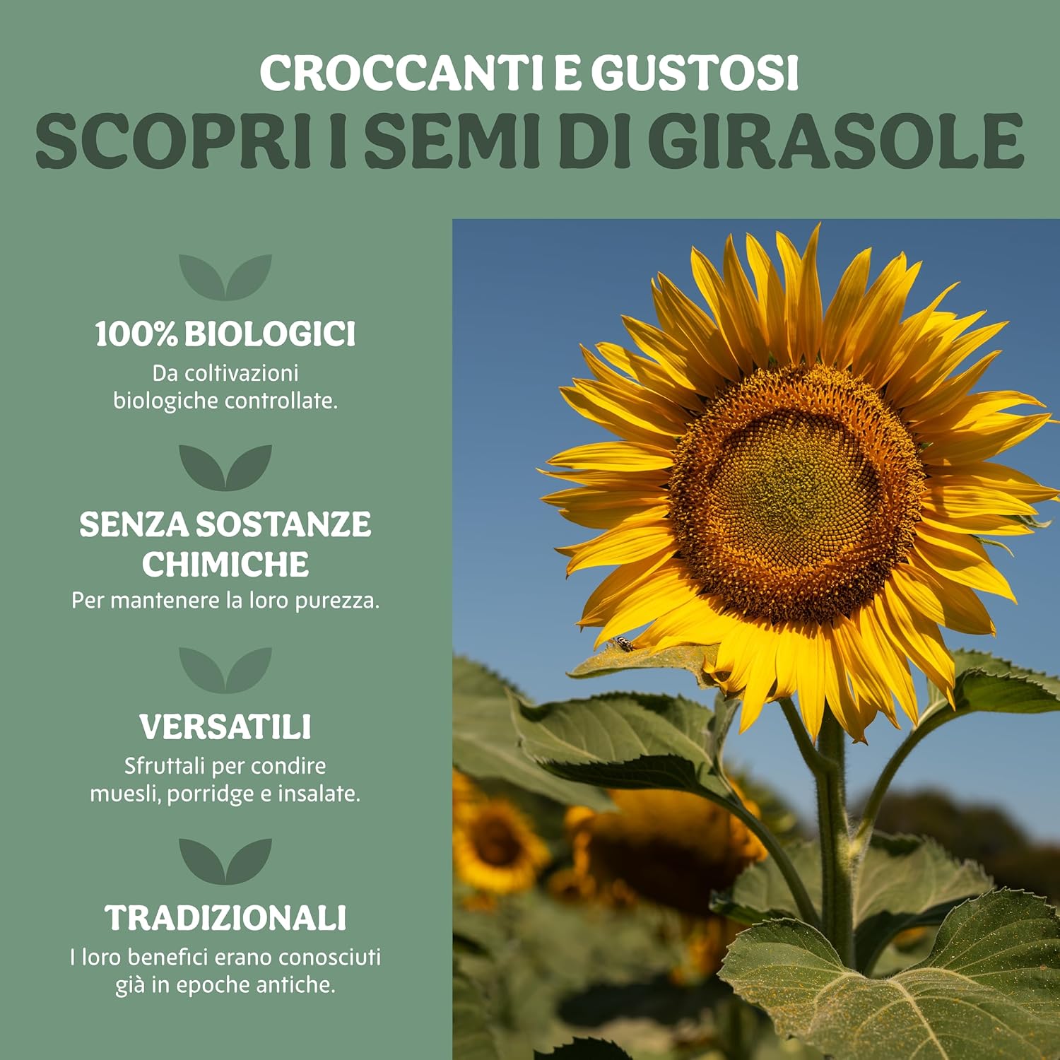Thumbnail 3 de Probios Semi di girasole biologici da 5 kg: crudi, commestibili e ricchi di fibre