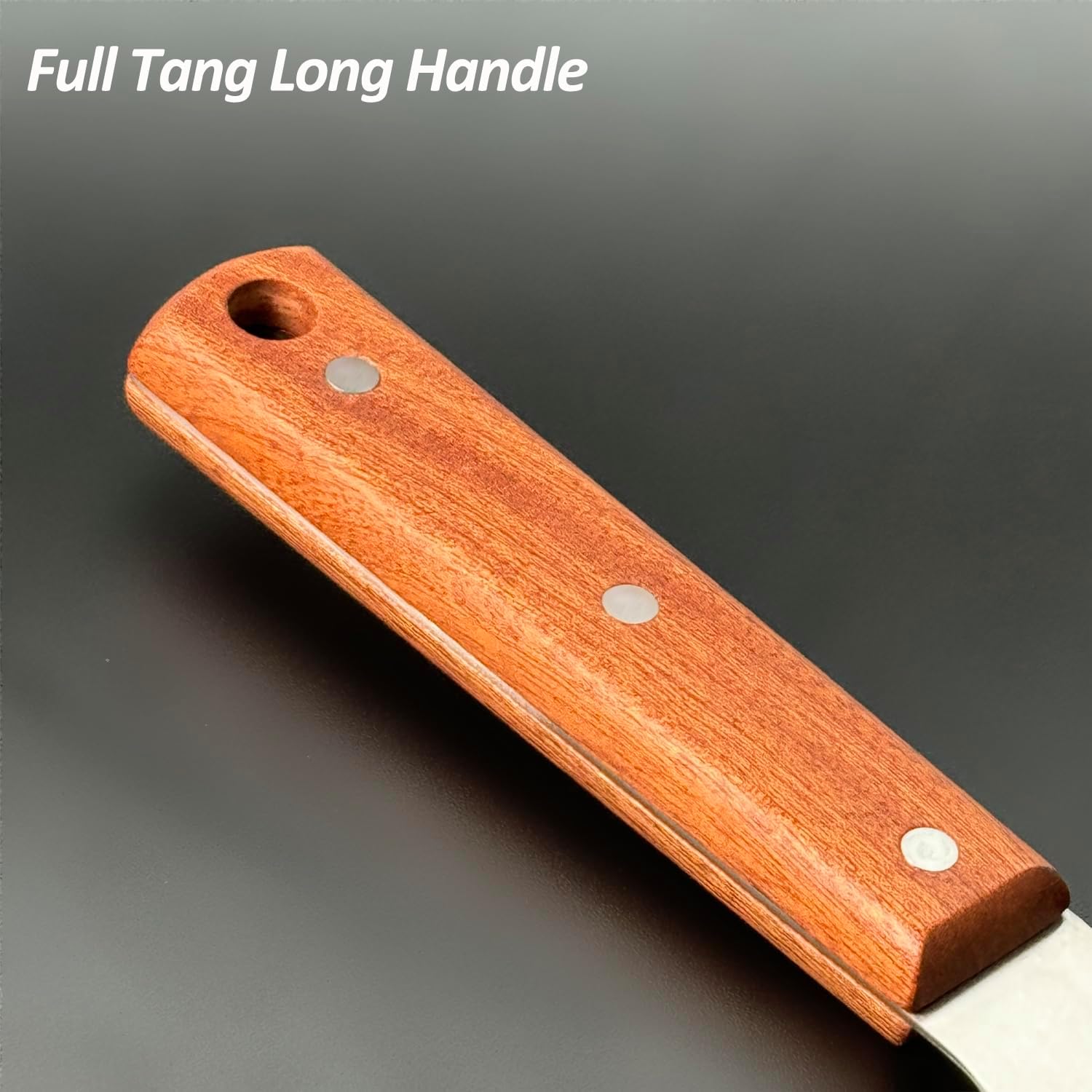 Thumbnail 4 de Vovoly Griddle scraper 203, 5.5-Inch Stainless Steel Griddle Scraper