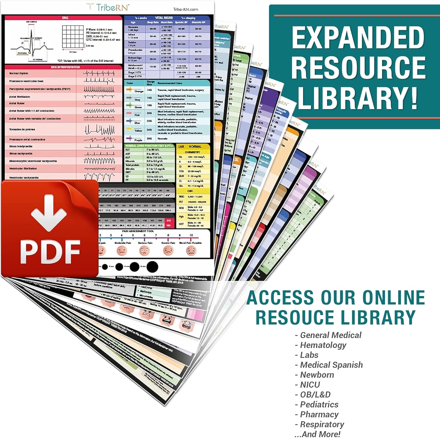 Detalle de Badge Guru 2.0 by Tribe RN — 49 Nursing Reference Cards (Nursing & Med School Cheat Sheet Flash Cards)