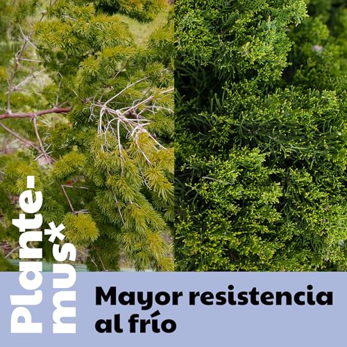 Detalle de PLANTEMUS Abono Cítricos y Olivos 5,5 kg