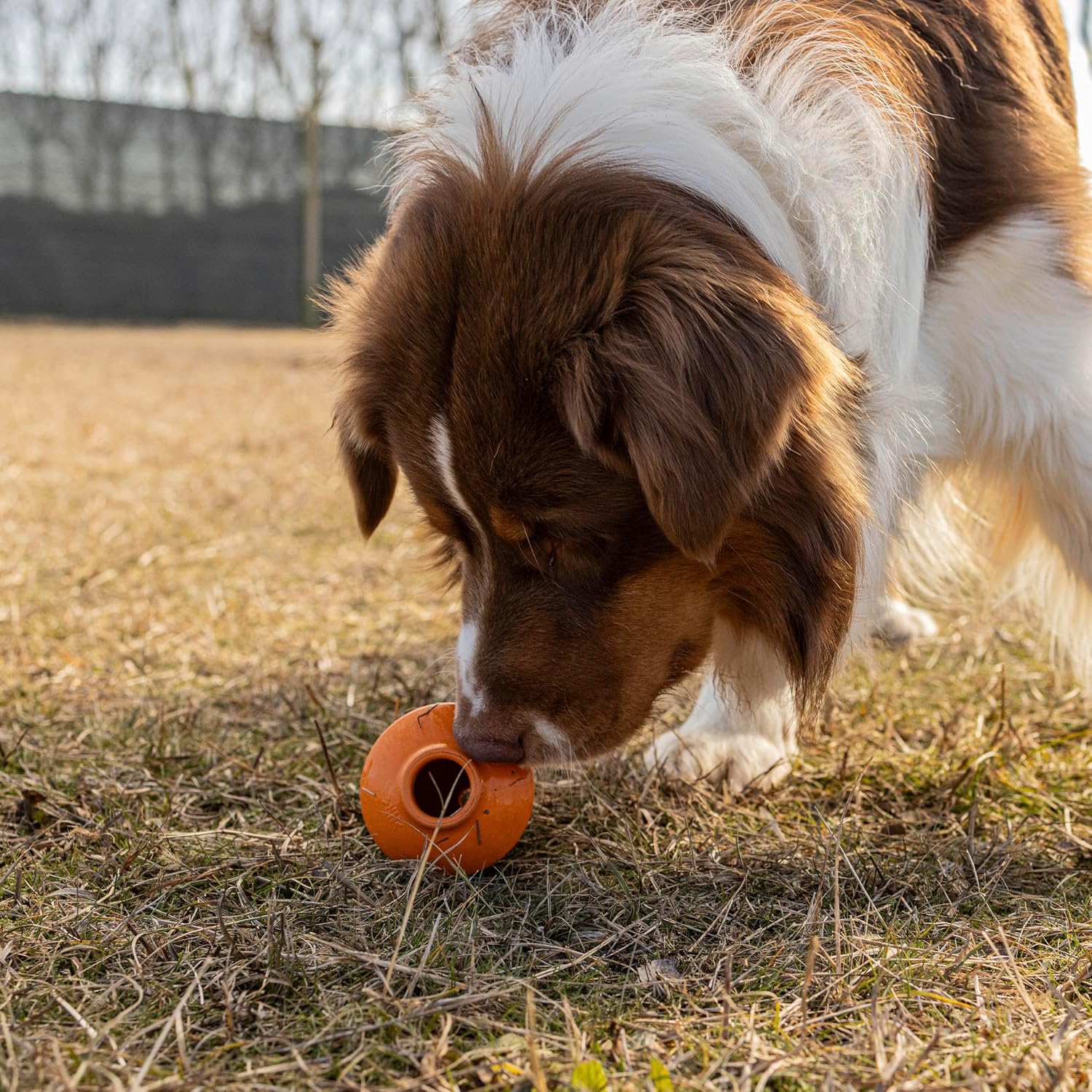 Detalle de Ferplast Crazy Bell – jouet distributeur de croquettes en caoutchouc naturel, arôme poulet (orange)