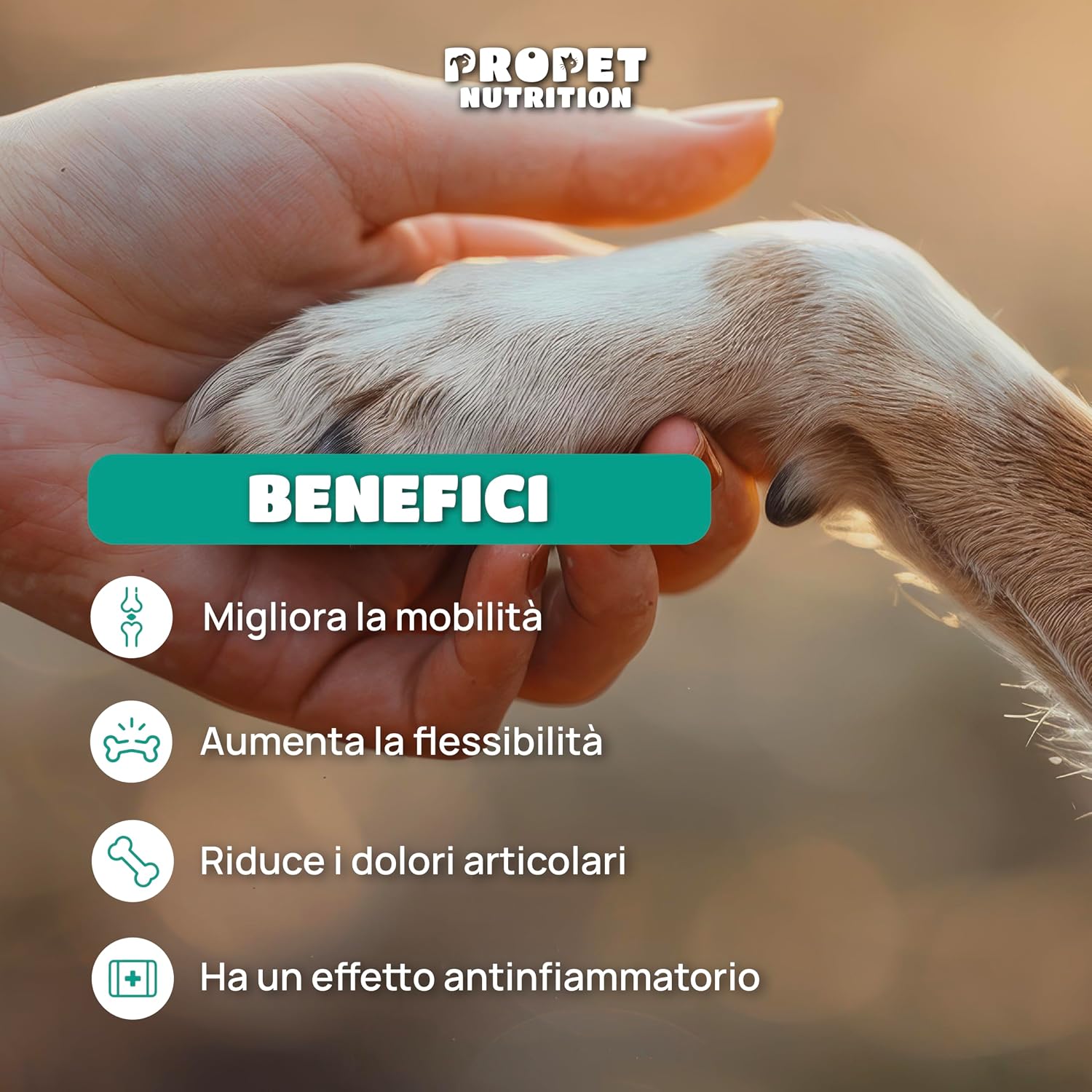 Detalle de Integratore Articolazioni Cane – Snack naturali per mobilità e benessere articolare