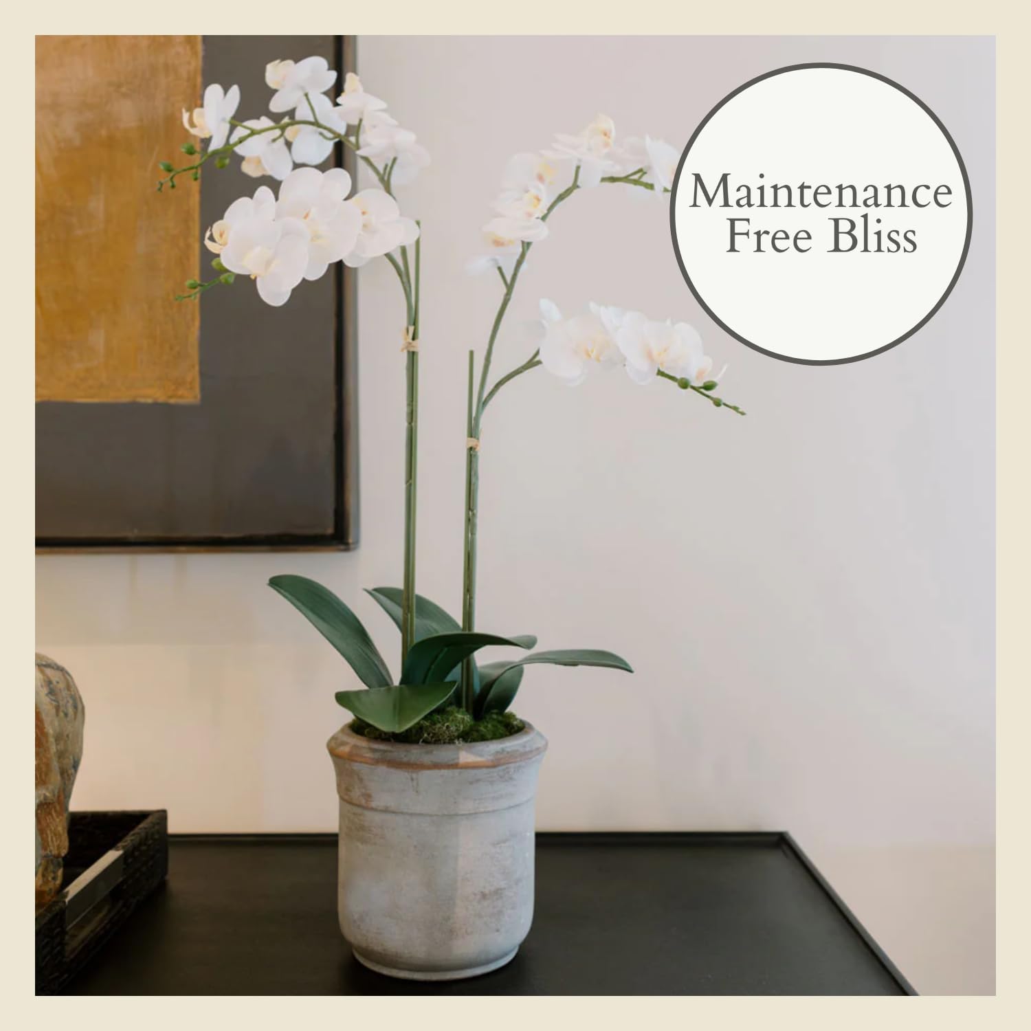 Detalle 2 de CG Hunter Faux Orchid Plant 24 in
