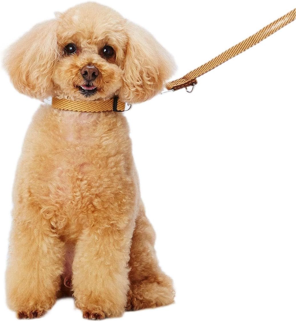 Detalle de アドメイト(ADD. MATE)ソフトスキップカラー S ブルー 犬用首輪、ワンタッチバックル・やわらかな生地