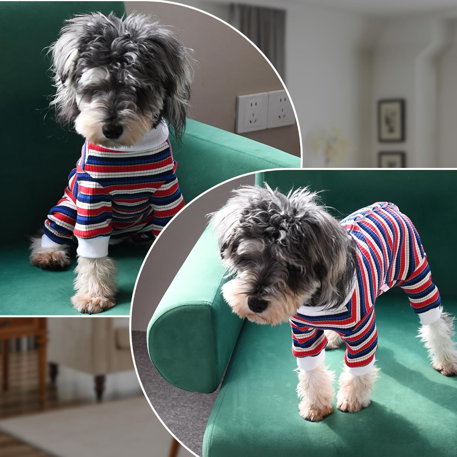 Detalle de PawSailor Dog Surgery Recovery Suit Sleeve – Full Body Cotton Onesie (Blue-Red, S) for Post-Surgical Protection