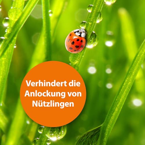 Detalle de ARPAD Fliegenfalle Außenbereich – biologische Fliegenfallen, langanhaltend und outside geeignet (PT19)