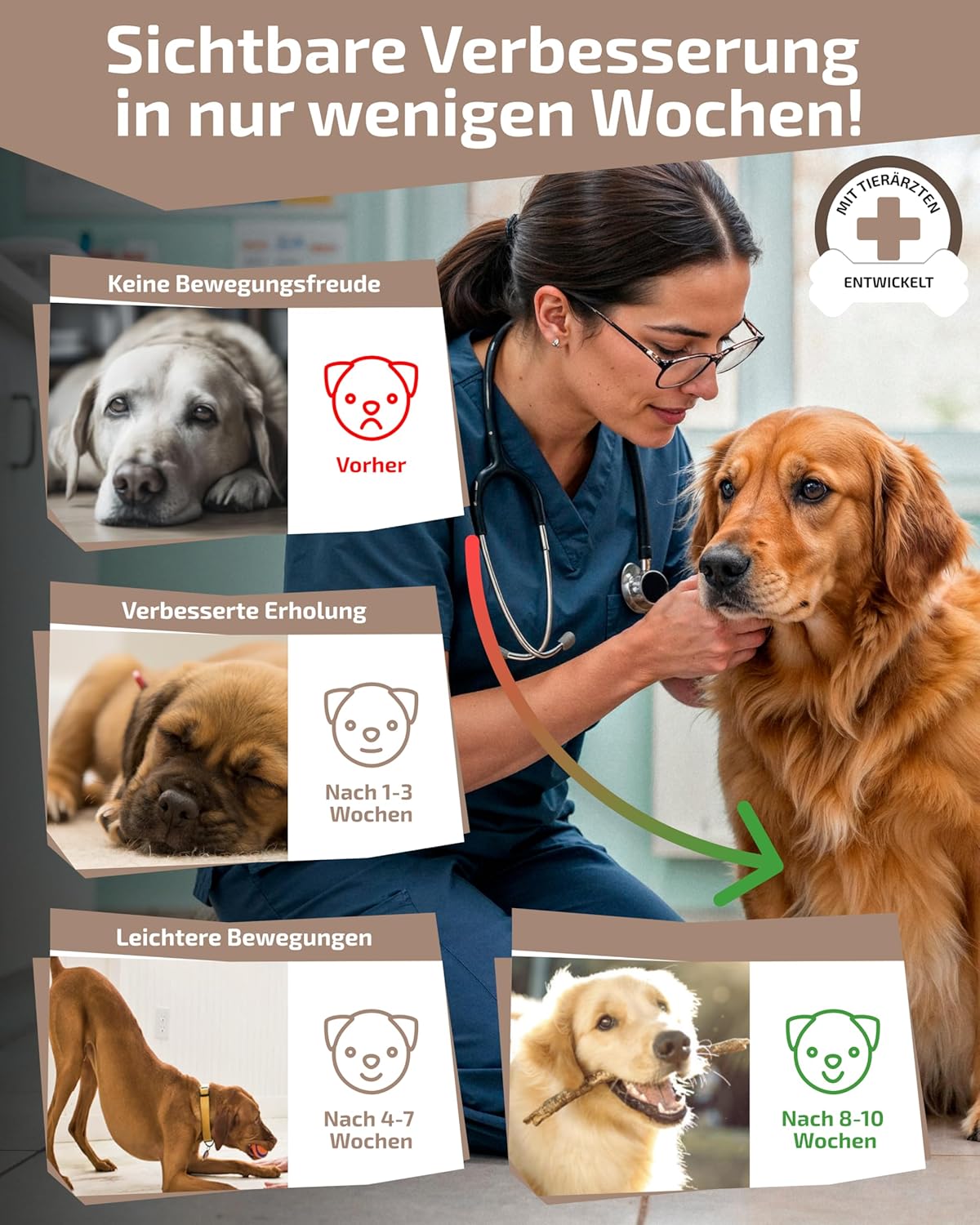 Thumbnail 1 de Gelenktabletten für den Hund – Dogparents, zuckerfrei & laborgeprüft (Grünlippmuschel, MSM, Glucosamin u. a.), 150 g