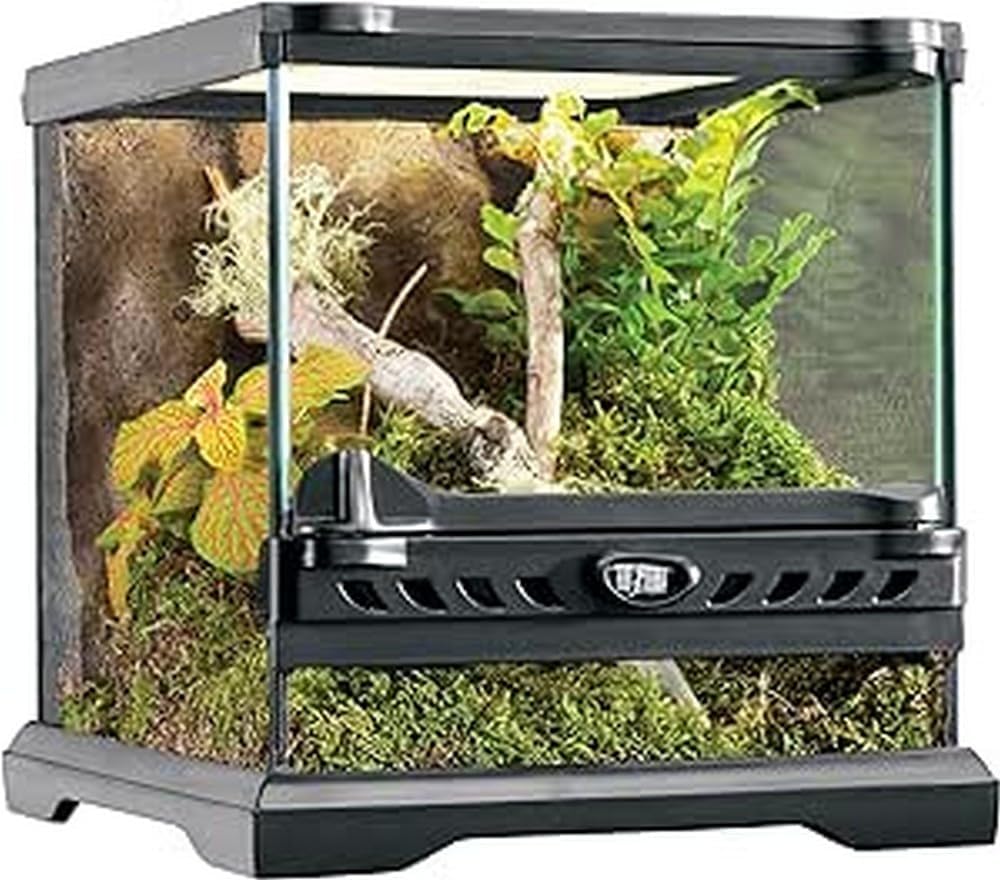 Detalle 2 de Exoterra Terrarium en Verre pour Reptiles et Amphibiens 20 x 20 x 30 cm