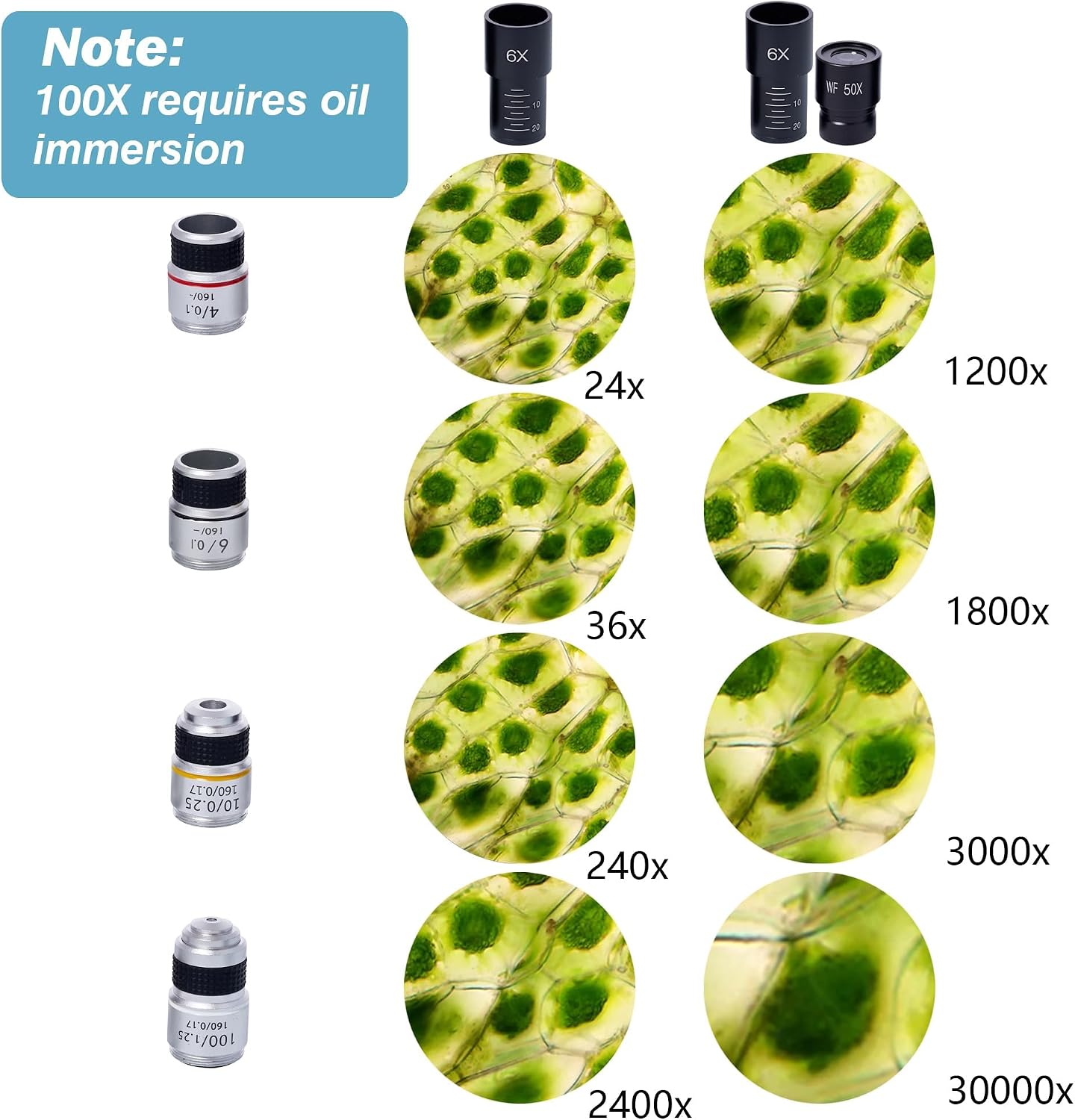 Thumbnail 4 de Binocular Microscope 200x–5000x with 6x multiplier 🔬