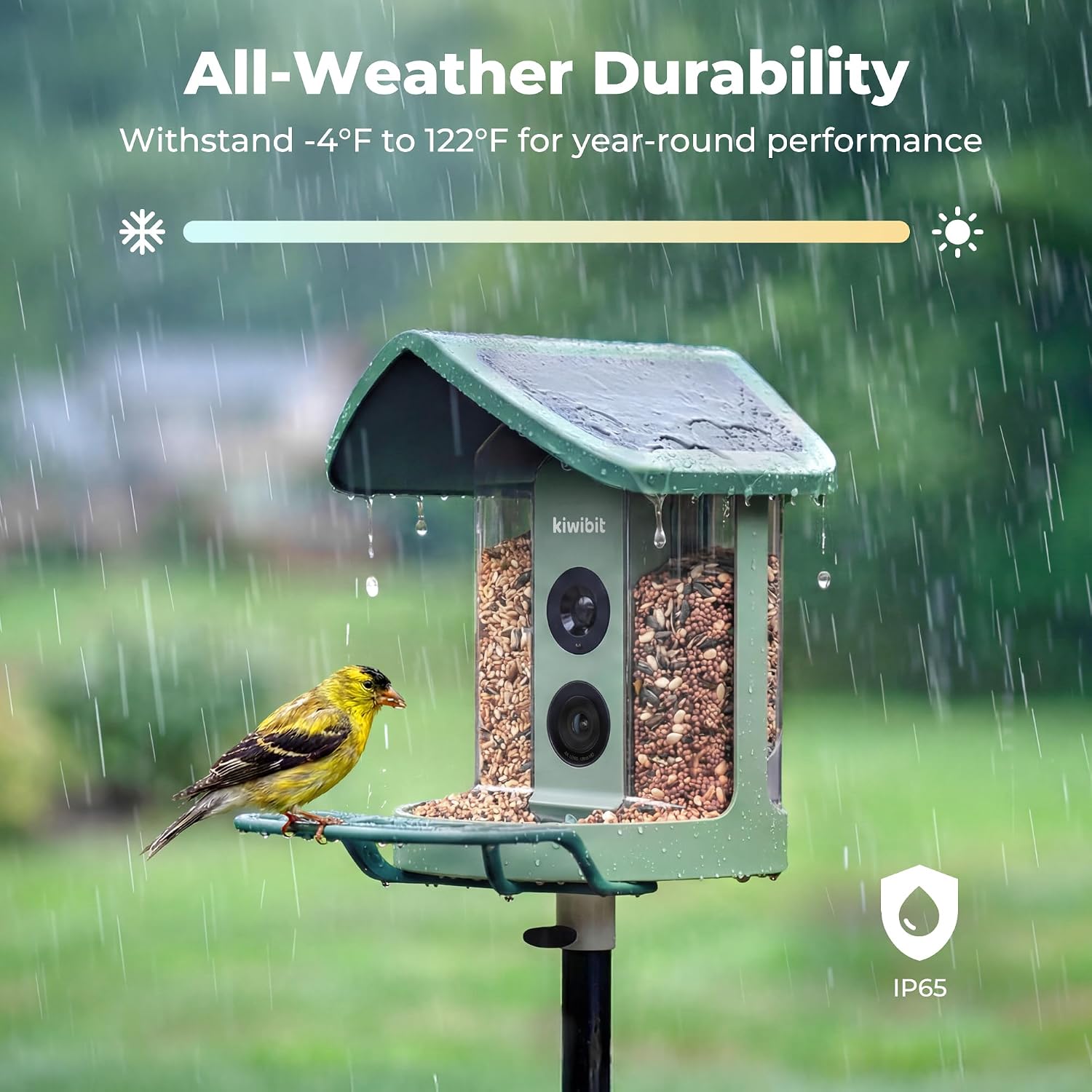 Detalle 2 de Kiwibit Solar Smart Bird Feeder with Camera, 4K HDR Video and AI Bird ID