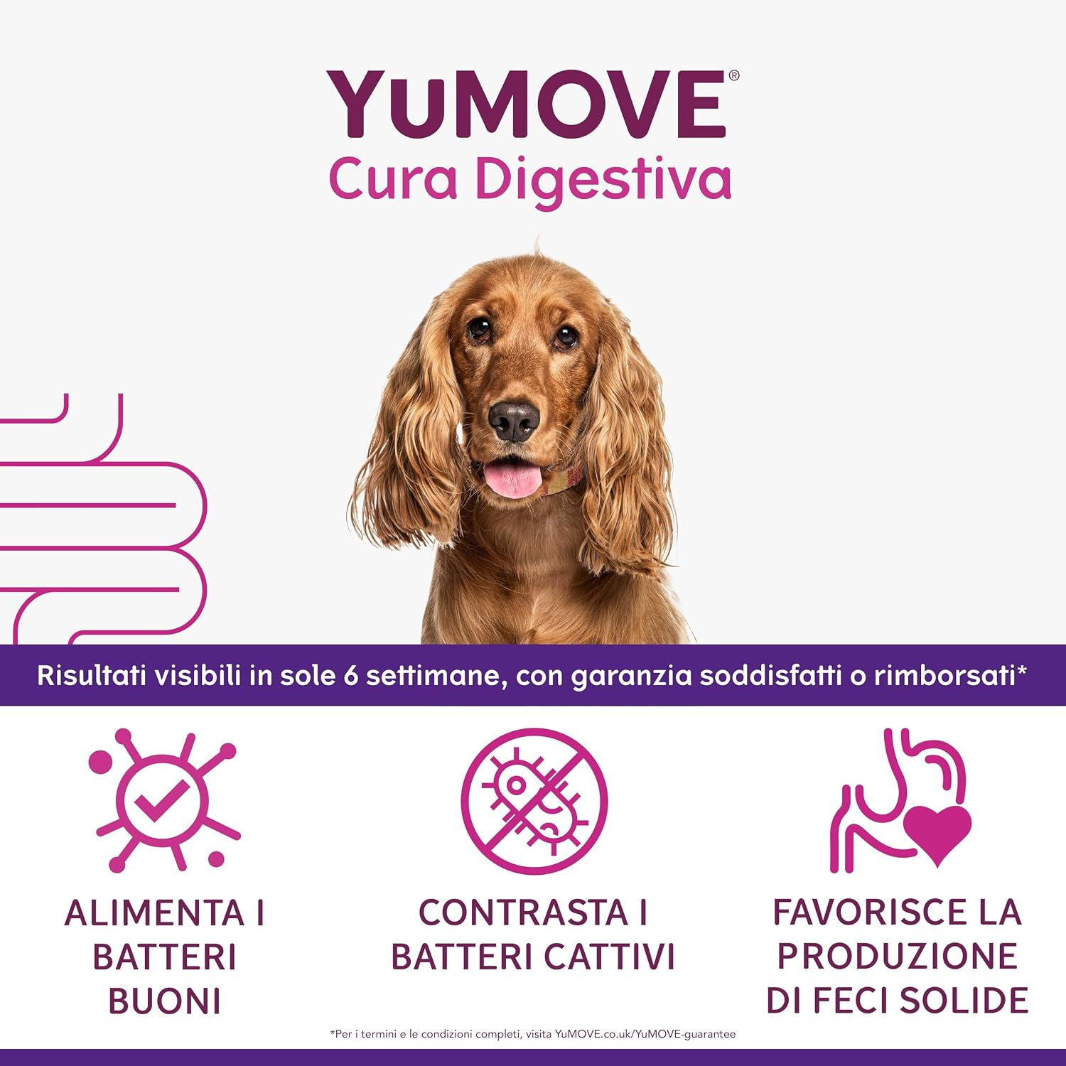 Detalle 2 de YuMOVE Fermenti Lattici Cane & Probiotici – 120 compresse con 200 Mio CFU