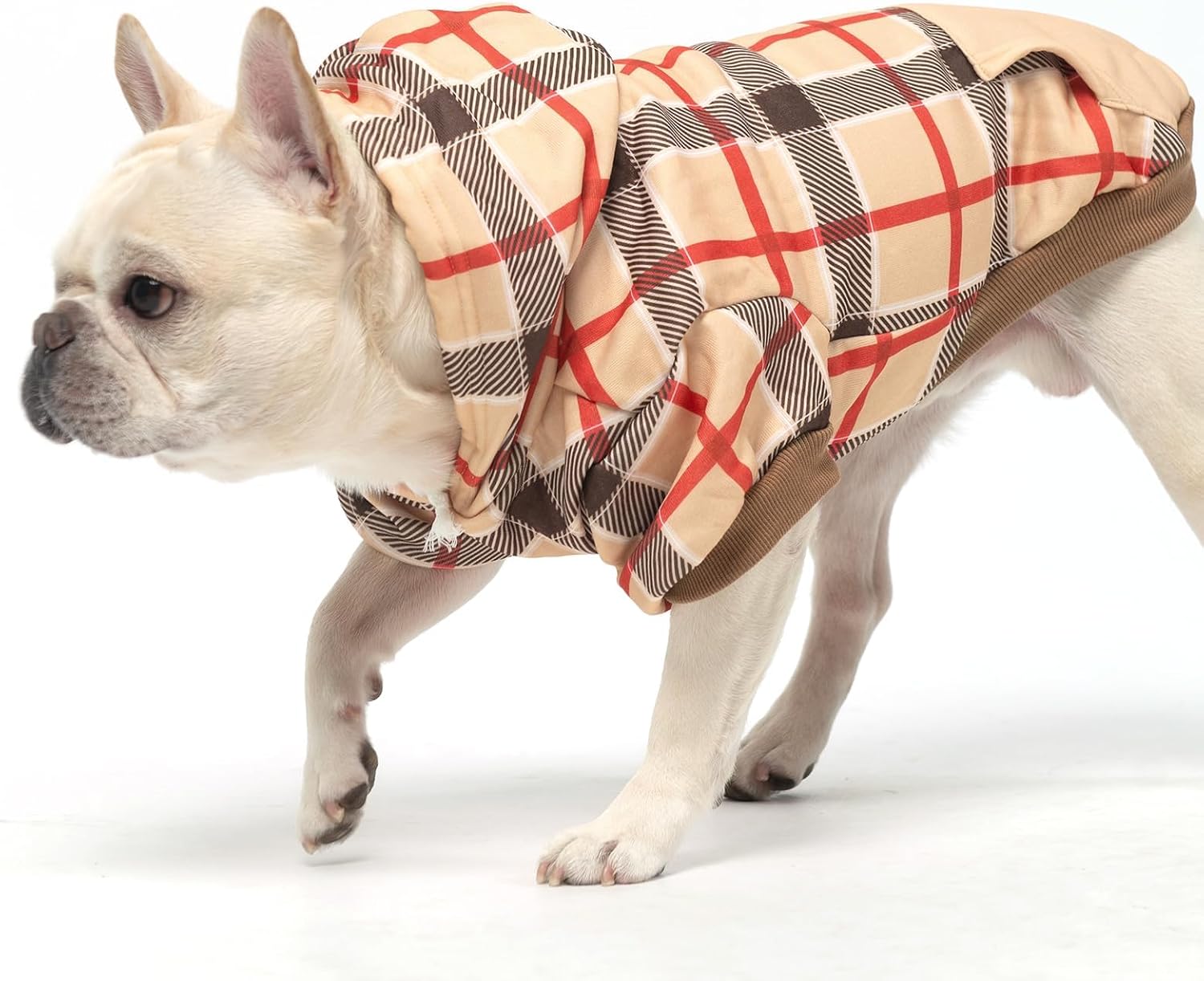 Thumbnail 6 de KOOLTAIL Dog Hoodie, Size S