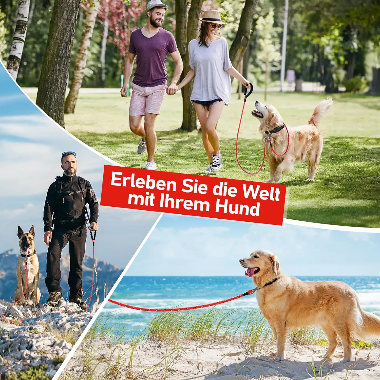 Thumbnail 6 de Hundeschleppleine 10 m XBEN Training