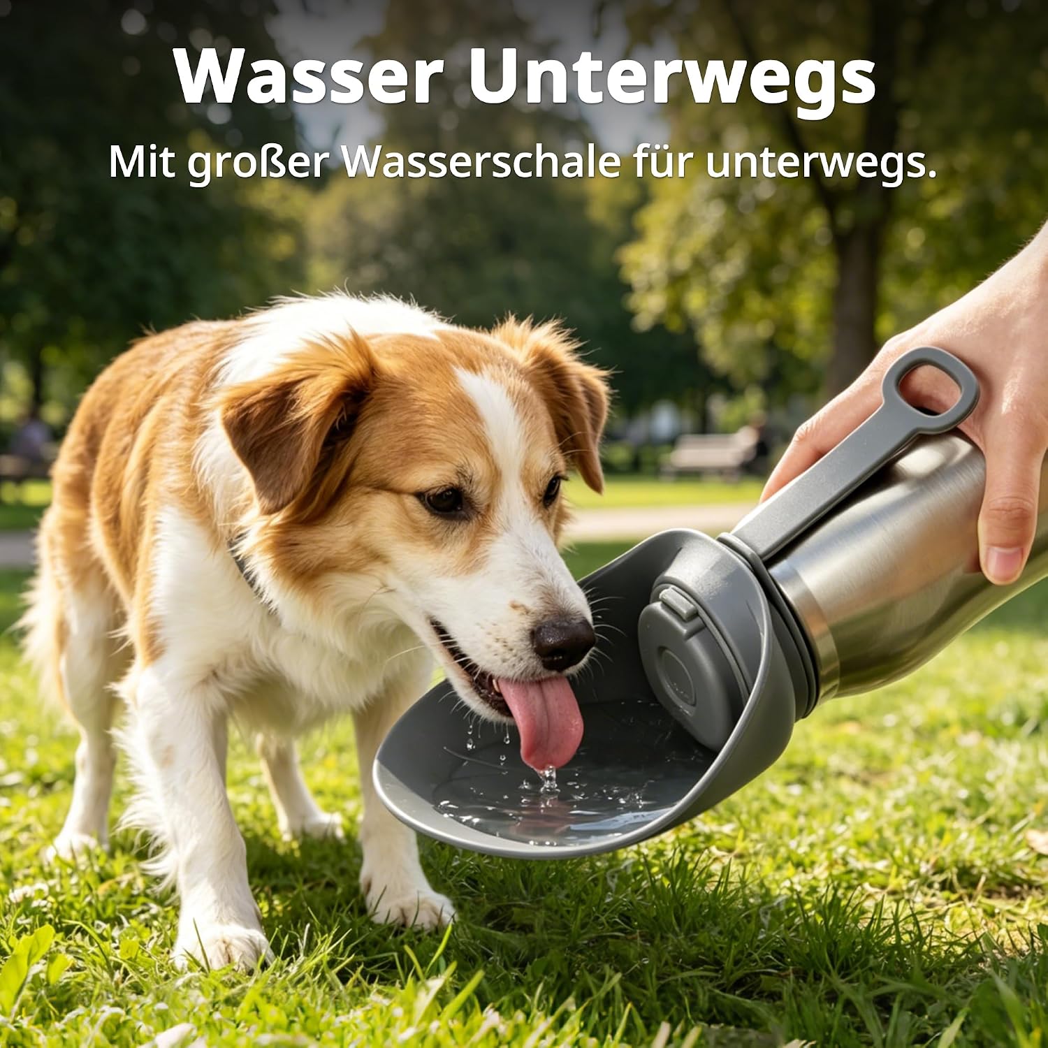 Detalle de Petace Hundetrinkflasche für unterwegs, 750 ml – Edelstahl, auslaufsicher