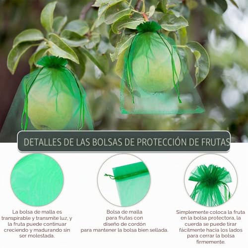 Thumbnail 3 de Bolsas de Protección para Uvas 20 x 30 cm – 100 unidades de RURIZHONGTIAN