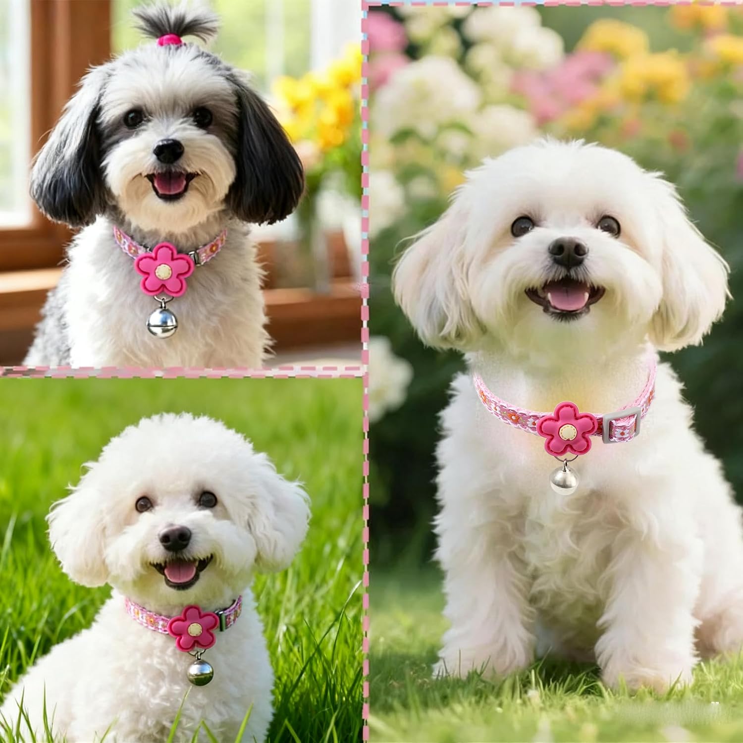 Detalle de Dog Collar and Leash Set, Nylon