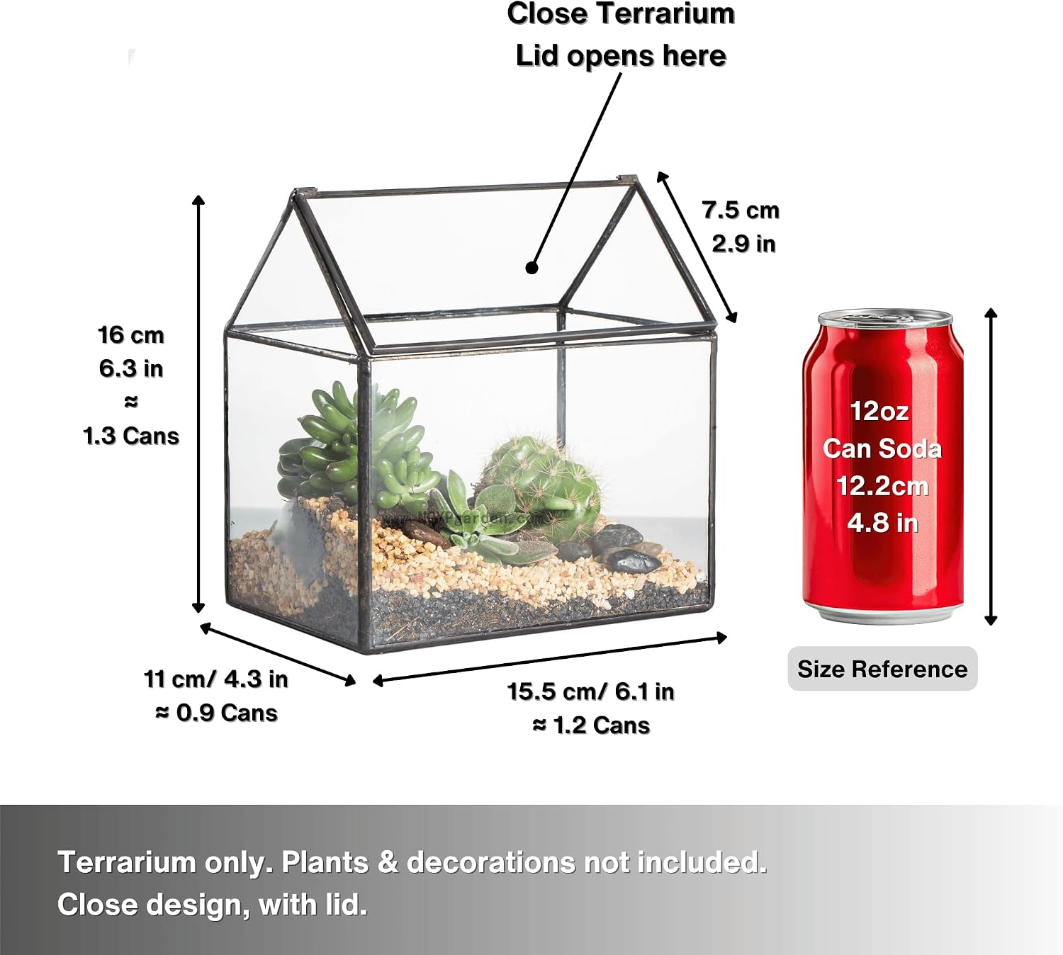 Thumbnail 2 de NCYP Small Closed Glass Geometric Terrarium with Swing Lid for Succulents and Moss