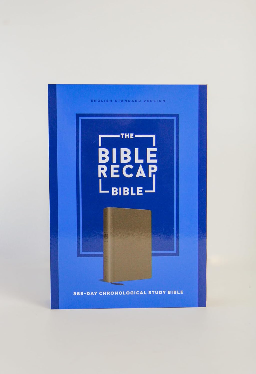 Detalle 2 de The Bible Recap 365-Day Chronological Study Bible, ESV, Imitation Leather