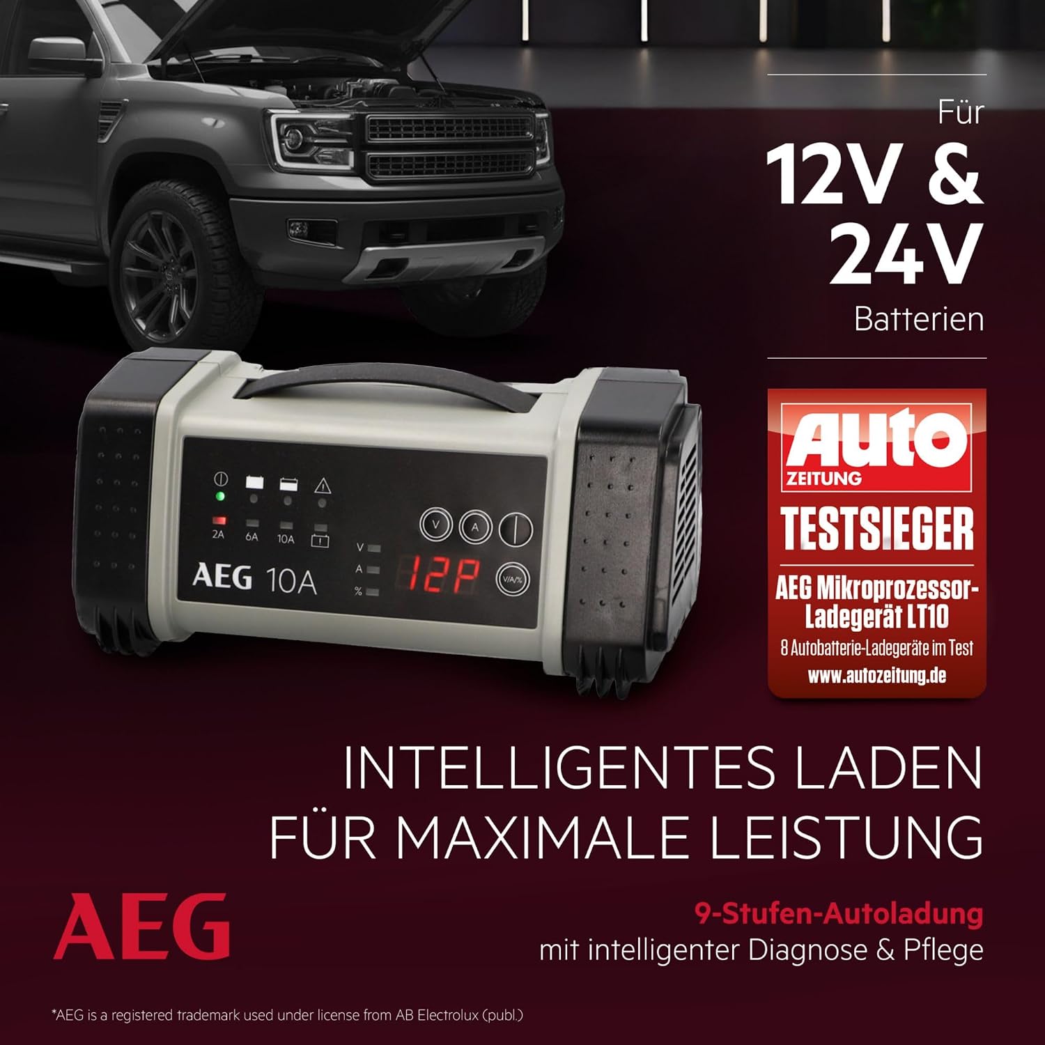 Detalle de AEG LT 10 BatterieladegerĂ€t 10A đ