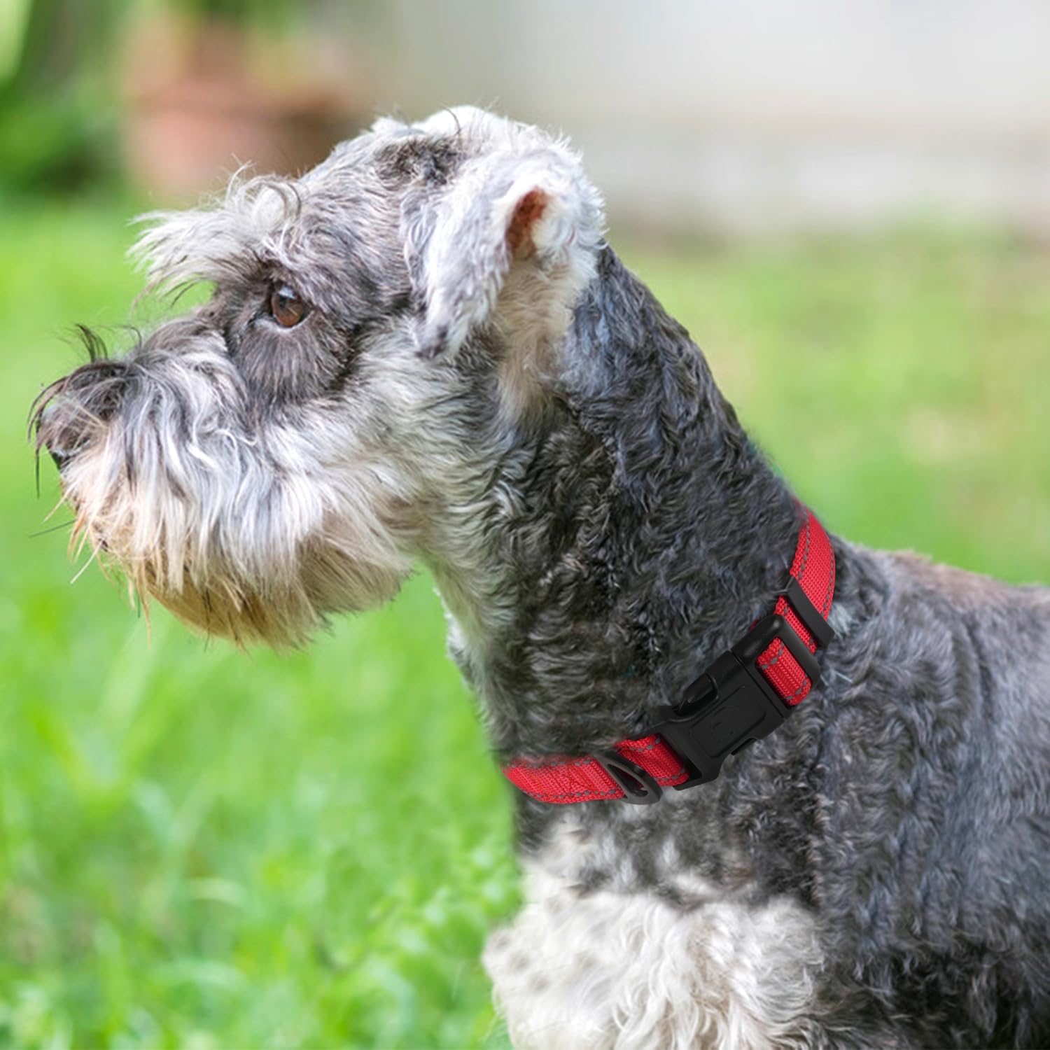 Thumbnail 1 de Joytale Reflective Dog Collar S, 11-15 in