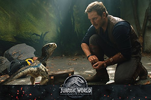 Thumbnail 11 de Jurassic World Ultimate Collection – Universal Pictures