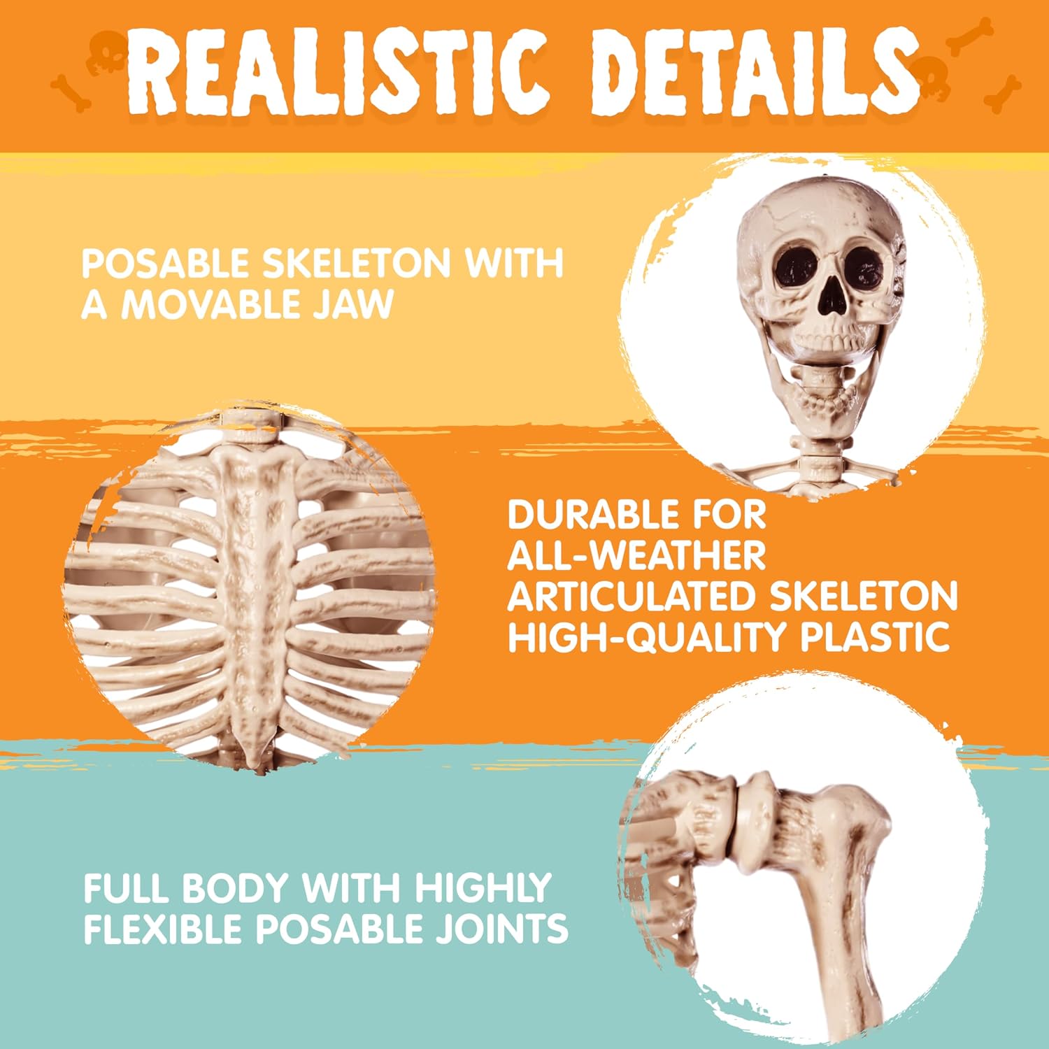 Thumbnail 4 de JOYIN 16025 5.6 ft Posable Skeleton with Movable Joints