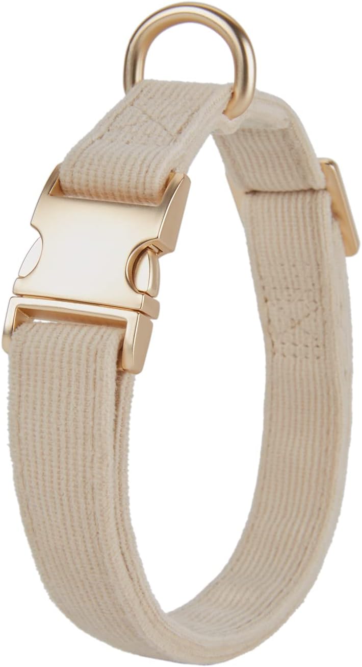 Thumbnail 6 de YUDOTE Dog Collar and Lead Set Small (S) in soft corduroy – cream white