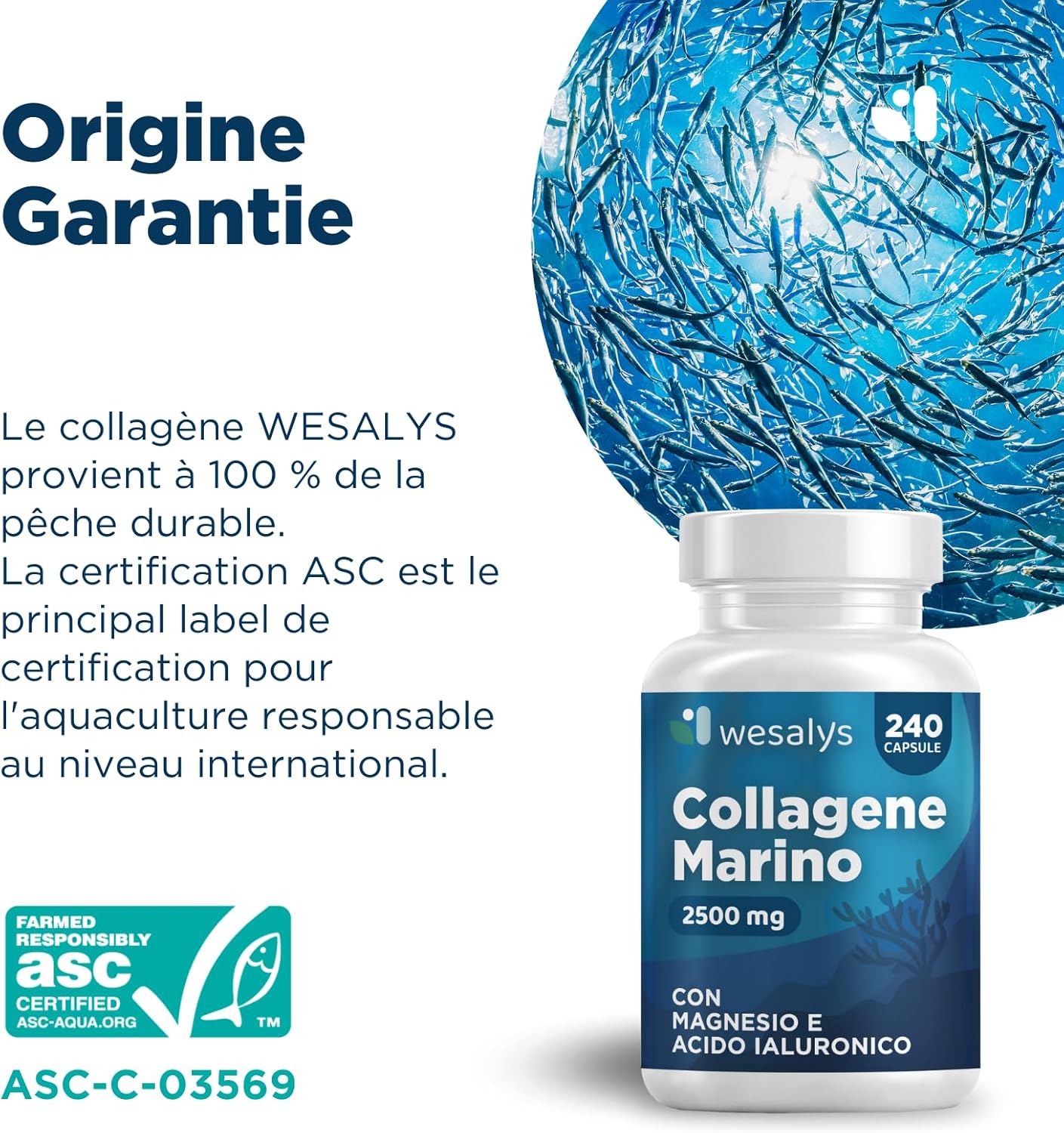 Detalle de Collagène Marin et Acide Hyaluronique - 240 Gélules par Wesalys (2500 mg COH)