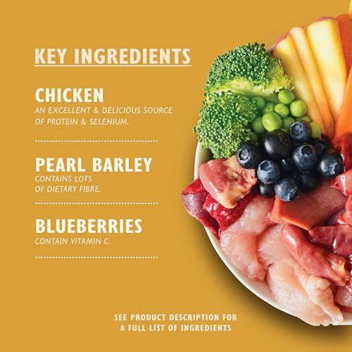 Thumbnail 1 de Lily's Kitchen Classic Dinner Multipack Wet Dog Food (6 x 150 g) – opinión y ficha de compra