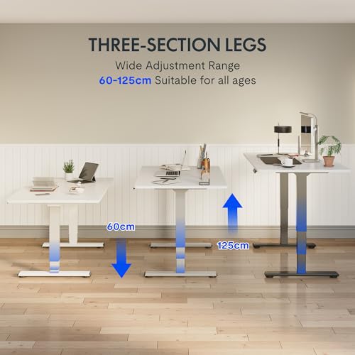 Detalle 2 de FLEXISPOT EC5 Lite Escritorio Elevable Eléctrico 🖥