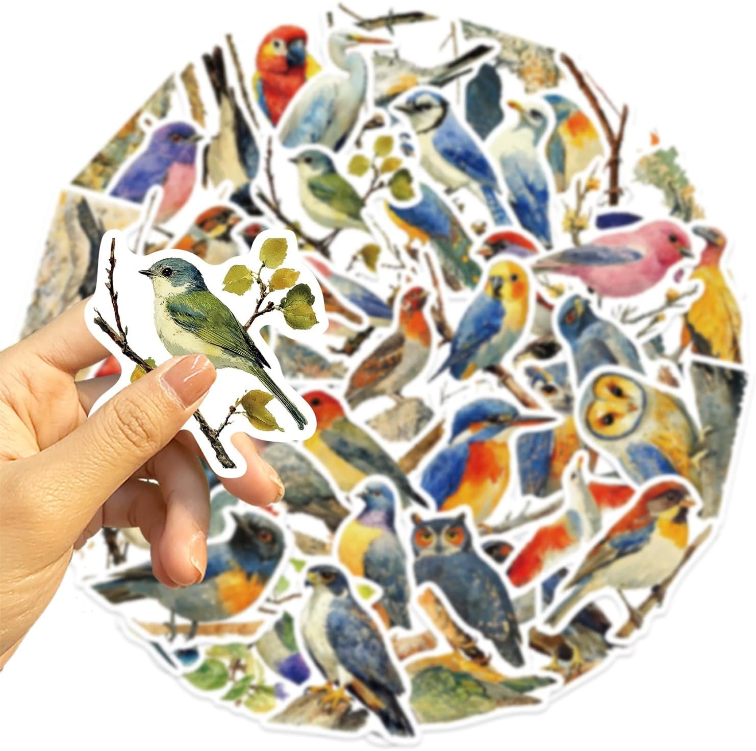 Detalle de Bric Dodo 50 Stück Wasservögel Aufkleber – Vinyl Sticker Set für Laptop, Auto, Skateboard, Wasserflasche und mehr