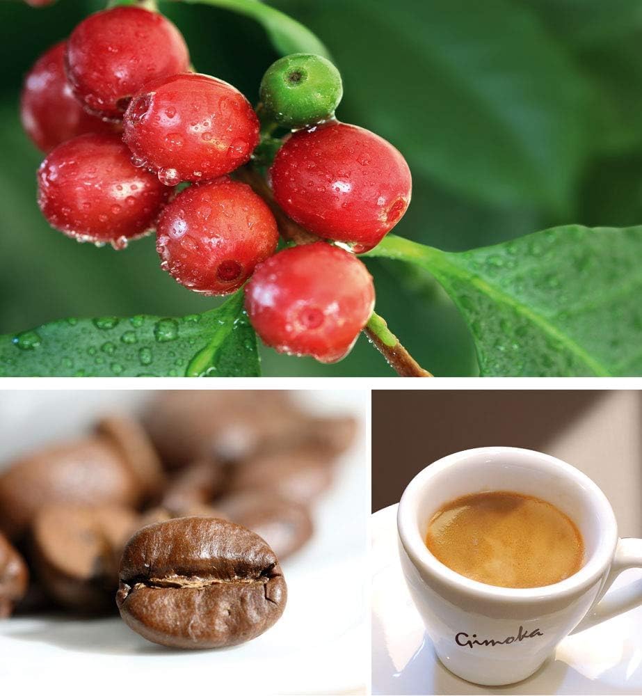 Detalle de Gimoka Compatibile Lavazza A Modo Mio – 144 capsule, Intensità 12, Arabica-Robusta