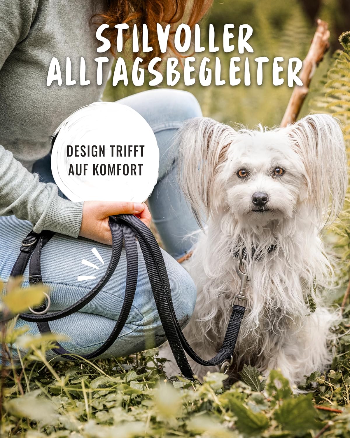 Thumbnail 4 de Rudelkönig Bella Führleine 2,30 m 📏🐕