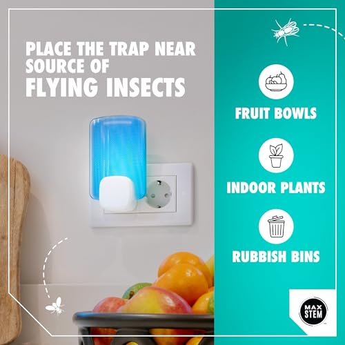 Thumbnail 2 de MAX STEM LED Light Trap: Insecticide-Free Indoor Fly Catcher