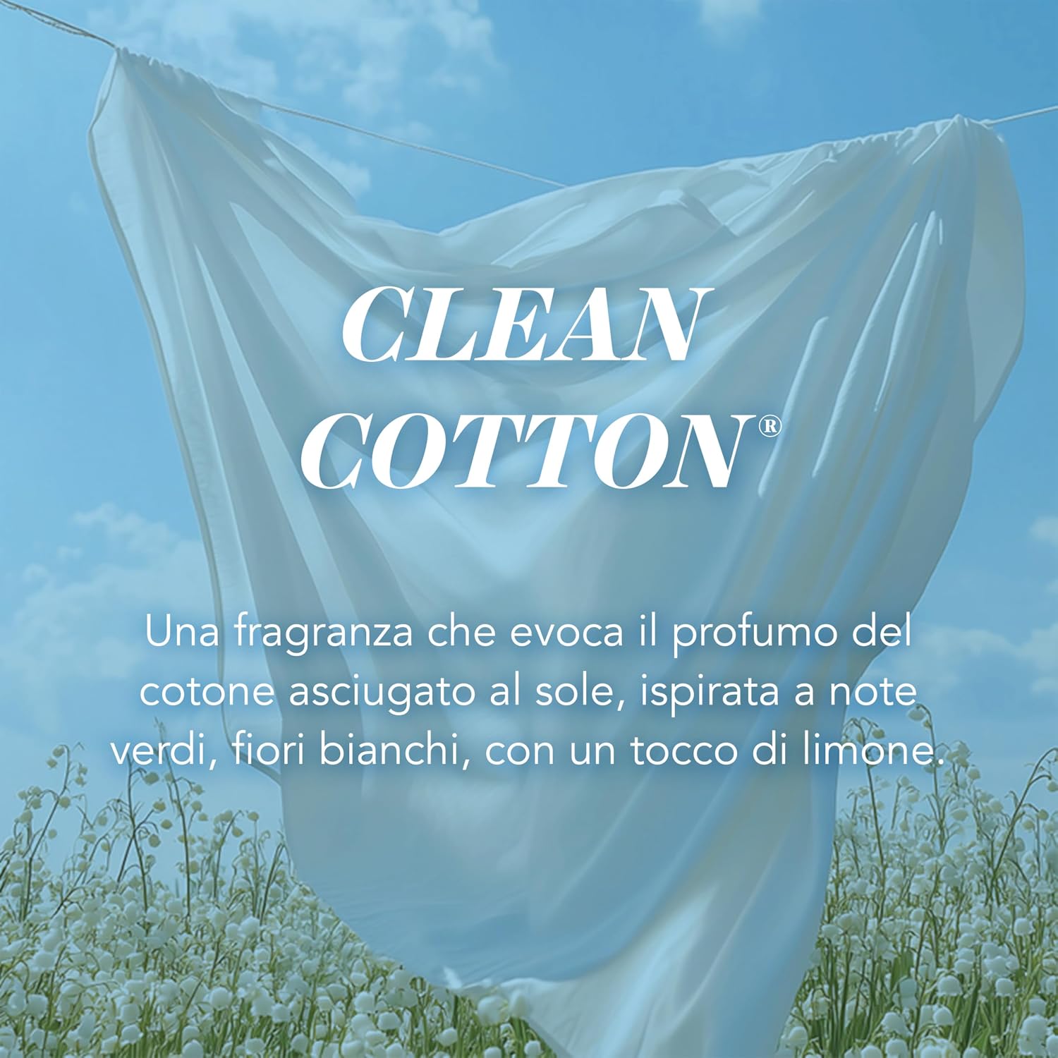 Thumbnail 2 de Yankee Candle Candela profumata Clean Cotton 150 ore