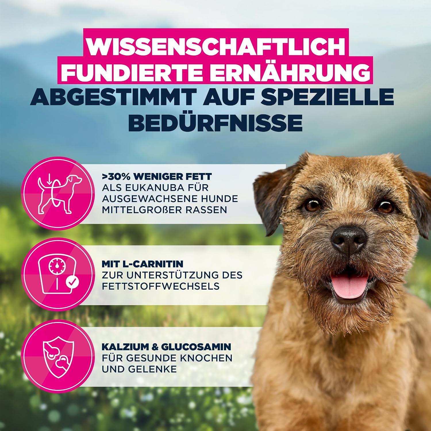 Thumbnail 4 de Eukanuba Weight Control Hundefutter mit Huhn – Fettarm für kleine & mittlere Rassen (bis 25 kg), 15 kg