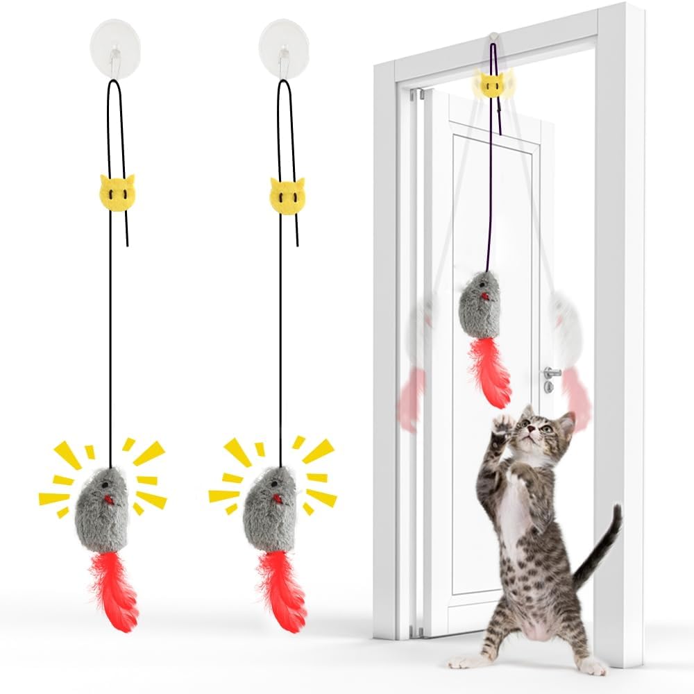 FYNIGO Katzenspielzeug 2er Pack