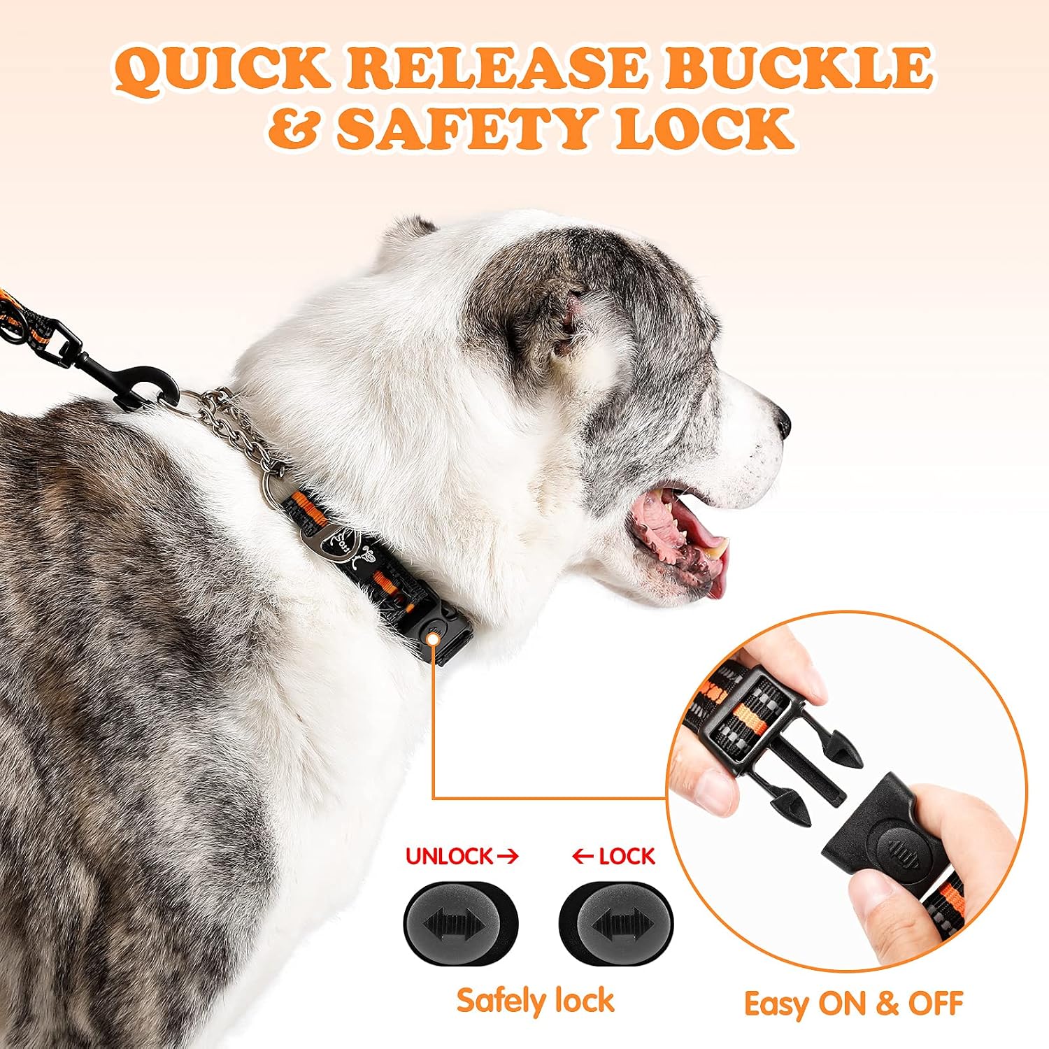 Detalle de PETTOM Martingale dog collar, orange, 43-52cm